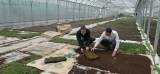 Melting Pot la première solution de toiture végétalisée 100% recyclée