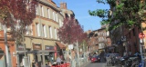 D'ici l'automne, la Ville de Toulouse va lancer une démarche de végétalisation des façades et des rues