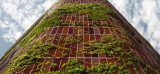 Un gratte-ciel recouvert de verdure pour absorber la pollution !