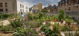 Paris : les toits (et les parkings) se végétalisent