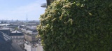 Dans le jardin perché du BHV Marais, sur le toit de Paris