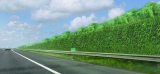 ****Val-d’Oise : et pourquoi pas un mur antibruit en bambous le long de l’A115?