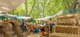 Maisons de paille, de bois… Des matériaux naturels pour des villes plus écologiques