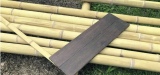 Une filière à développer: le bambou, une ressource d’avenir